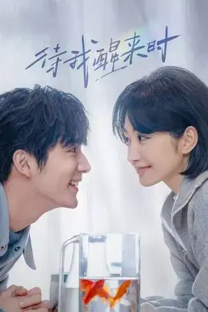 Đợi Khi Tôi Tỉnh Lại Đợi Khi Tôi Tỉnh Lại